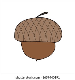 Acorn vector illustration isolated on white background. Cartoon brown acorn, hand drawn