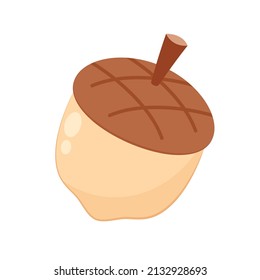 Acorn vector illustration isolated on white background. Acorn icon vector.