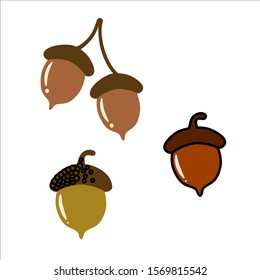 Acorn vector illustration set art
