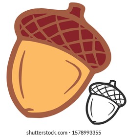 acorn in vector image and outline