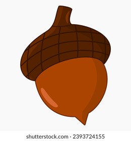 Acorn vector isolated on white background