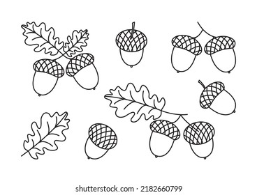 Acorn vector line icon, oak leaf, nut and branch, black outline silhouette isolated on white background. Christmas simple illustration