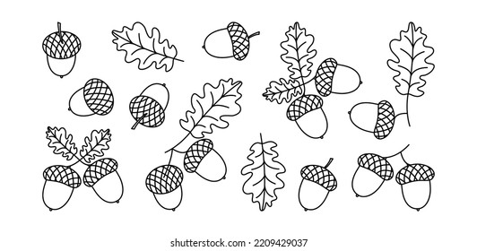 Acorn Vektorsymbol, Eichenblatt, Nuss und Ast, schwarze Umrisssilhouette einzeln auf weißem Hintergrund. Weihnachtsschlichte