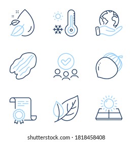 Acorn, Weather thermometer and Pecan nut line icons set. Diploma certificate, save planet, group of people. Leaf, Sun energy and Water drop signs. Oaknut, Temperature, Vegetarian food. Ecology. Vector