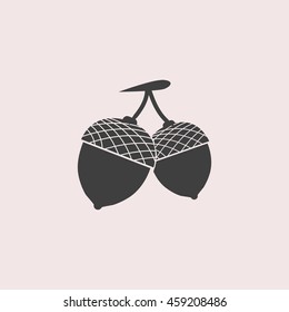 Acorn web icon. Isolated illustration
