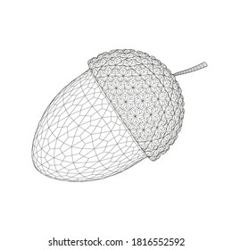 Acorn wireframe from black lines isolated on white background. 3D. Vector illustration