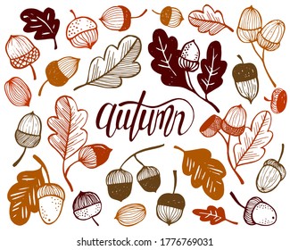 Acorns and autumn leaves doodle set. Vector sketch illustration isolated over white background. Oak leaves. Collection vector autumn elements, lettering "autumn".