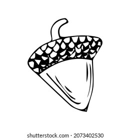 Acorns and autumn leaves doodle set. Vector sketch illustration isolated over white background. Oak leaves. Collection vector autumn elements