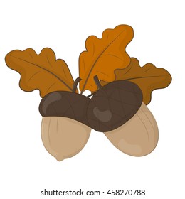 Acorns with autumn leaves. Vector illustration on white background.