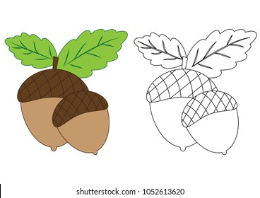 Acorns. Coloring page.