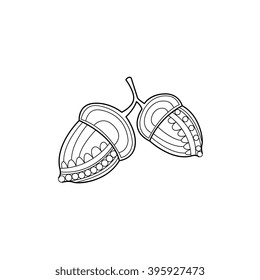 Acorns Hand Drawn Vector Design Zentangle Print For Coloring Book