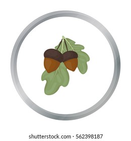 Acorns icon in cartoon style isolated on white background. Canadian Thanksgiving Day symbol stock vector illustration.