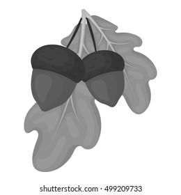 Acorns icon in monochrome style isolated on white background. Canadian Thanksgiving Day symbol stock vector illustration.