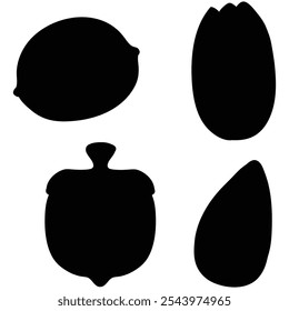 Acorns Illustration Hand-Drawn or Vector Design for Nature and Autumn Themes