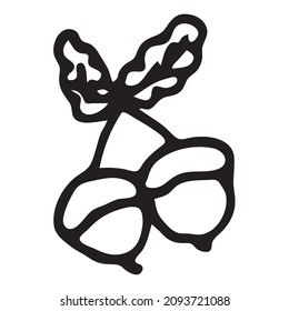 Оak acorns isolated. Boho style concept in black and white  for invitation, greeting card,  branding, logo, label, coloring book page. Line art. Vector illustration. 