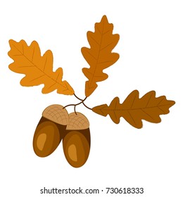 acorns and leaves