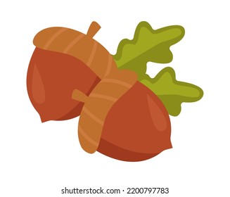 Acorns with leaves. Vector illustration