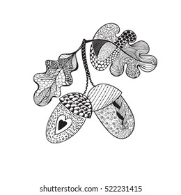 Acorns And Leaves Zentangle For Coloring