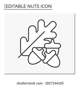 Acorns Line Icon. Edible Nut From Oak Trees. Balanced Nutrition. Nuts Concept. Isolated Vector Illustration. Editable Stroke