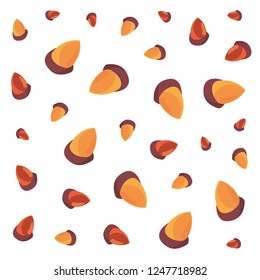 acorns nuts decoration white background