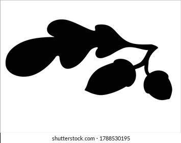 Acorns and oak leaf - black vector silhouette for pictogram or logo. Silhouette of an oak branch with leaf and acorns - sign or icon.