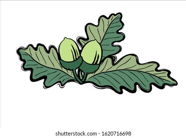 Acorns with Oak Leafs drawn in loose freestyle in retro colours