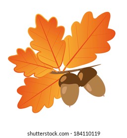 Acorns With Oak Leaves 