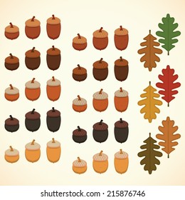 Acorns & Oak Leaves