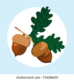 Acorns and oak leaves
