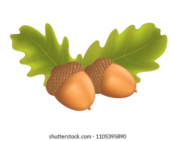 Acorns and Oak Leaves. Two acorns on top of oak leaves designed using gradient mesh.