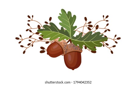 Acorns and oak leaves. Vector illustration isolated on white background.