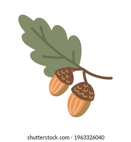 Maíz y hojas de roble. Ilustración vectorial aislada en fondo blanco.