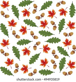 acorns, oak and maple leaves isolated on white background