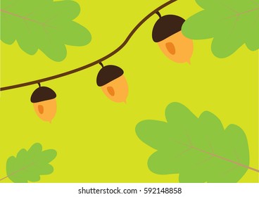 acorns on the branch
