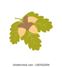 acorns on a branch. Element of colored autumn illustration for mobile concept and web apps. Detailed acorns on a branch illustration can be used for web and mobile