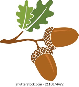 Acorns on a branch. Oak leaves. Vector flat colorful illustration.
