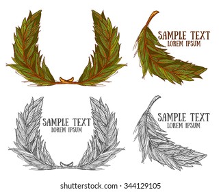 Acorns on white background, forest