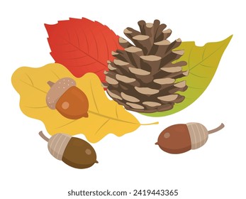 Acorns, pine cones, fallen leaves materials