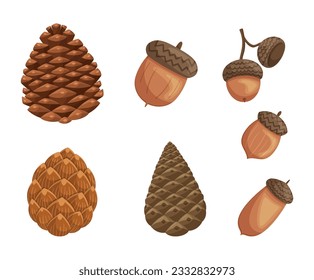 Acorns And Pine Cones, Nature-inspired Set. Delightful Collection Showcasing The Beauty Of Autumn. Perfect For Crafts, Decorations, Diy Or Adding A Touch Of Nature. Cartoon Vector Illustration