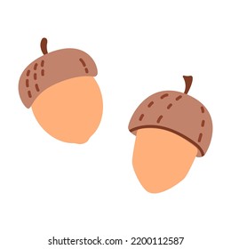 Acorns set in cartoon style. Hand drawn autumn nuts. Vector art isolated on white background.