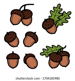 Acorns set. Collection icon acorns. Vector