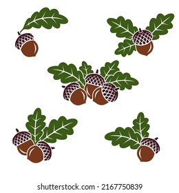 Acorns set. Collection icon acorns. Vector