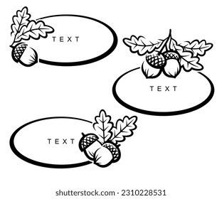 Acorns set. Collection icon acorns. Vector