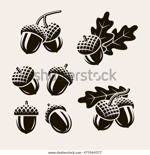 Acorns Set Vector Stock Vector (Royalty Free) 475964377 | Shutterstock