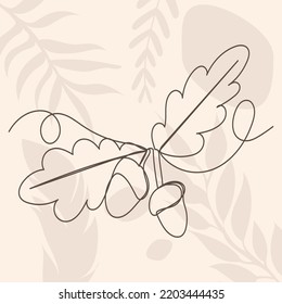 acorns sketch, one line drawing, vector