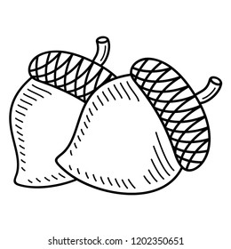 Acorns. Vector flat outline icon illustration isolated on white background.
