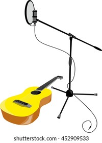 acoustic guitar and a professional microphone