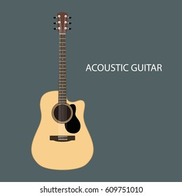 Acoustic guitars isolated. Vector illustration