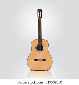 acoustic guitar,vector