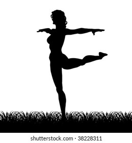 acrobatic silhouette on field